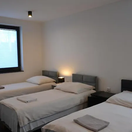 Halinton Ξενοδοχείο με διαμερίσματα Wodzisław Śląski