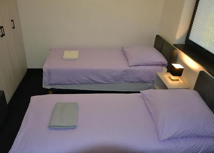 Halinton Wodzisław Śląski